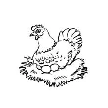 Dibujo de Gallina empollando sus huevos en el nido para colorear