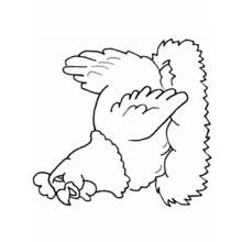 Dibujo de Gallina picoteando el suelo para colorear