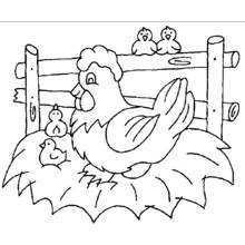 Dibujo de Gallina empollando en su nido con pollitos para colorear