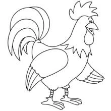 Dibujo de Gallo de pie cantando con la cola desplegada para colorear