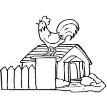 Dibujo de Gallo cantando en el tejado de un granero para colorear