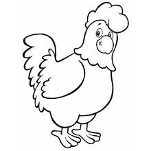 Dibujo de Gallo con barba grande y cabeza ladeada para colorear