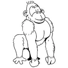 Gorila - Dibujos para colorear gratis