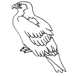 Dibujo de Halcón posado con las alas plegadas para colorear Dibujo de Halcón posado con las alas plegadas para colorear