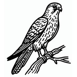 Dibujo de Halcón de perfil sobre rama desnuda para colorear Dibujo de Halcón de perfil sobre rama desnuda para colorear