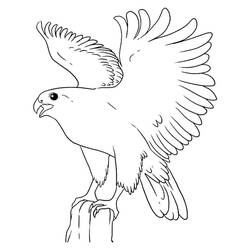 Dibujo de Halcón posado con las alas extendidas para colorear Dibujo de Halcón posado con las alas extendidas para colorear