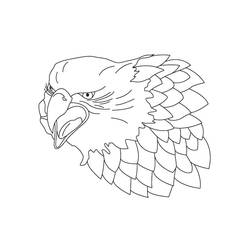 Dibujo de Cabeza de halcón con plumas detalladas para colorear Dibujo de Cabeza de halcón con plumas detalladas para colorear