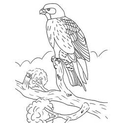 Dibujo de Halcón sobre gruesa rama con arbustos para colorear Dibujo de Halcón sobre gruesa rama con arbustos para colorear