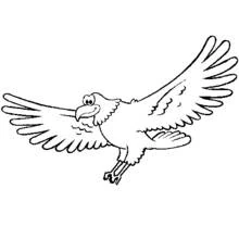 Dibujo de Halcón de caricatura con plumas onduladas para colorear Dibujo de Halcón de caricatura con plumas onduladas para colorear