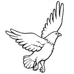 Halcón - Dibujos para colorear gratis