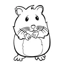 Hámster - Dibujos para colorear gratis