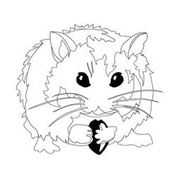 Dibujo de Hámster sosteniendo una semilla para colorear Dibujo de Hámster sosteniendo una semilla para colorear