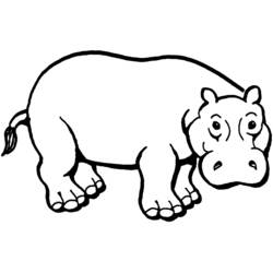 Hipopótamo - Dibujos para colorear gratis