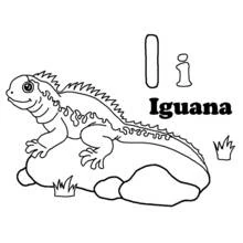 Iguana - Dibujos para colorear gratis