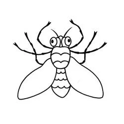 Insecto - Dibujos para colorear gratis