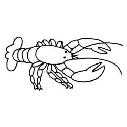 Langosta - Dibujos para colorear gratis