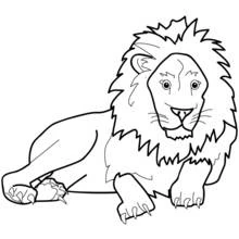 Dibujo de León tumbado con una gran melena para colorear