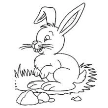 Liebre - Dibujos para colorear gratis