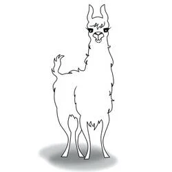 Dibujo de Llama de pie mirando de frente para colorear Dibujo de Llama de pie mirando de frente para colorear