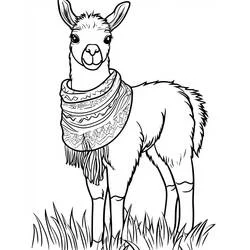 Dibujo de Llama con una bufanda decorada para colorear Dibujo de Llama con una bufanda decorada para colorear