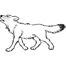 Dibujo de Lobo aullando mientras camina para colorear
