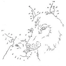 Dibujo de Lobo en puntos numerados para colorear
