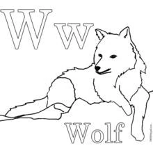 Dibujo de Lobo tumbado junto a la letra W para colorear