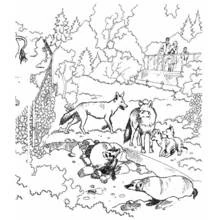 Dibujo de Lobo en familia observado por visitantes en el bosque para colorear