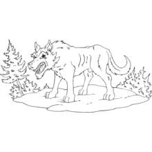 Dibujo de Lobo gruñendo en el bosque para colorear