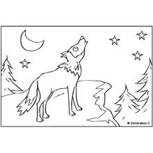 Dibujo de Lobo aullando a la luna para colorear