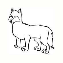 Dibujo de Lobo de pie tranquilo para colorear