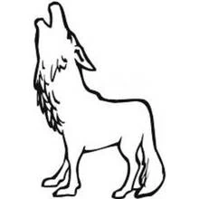 Dibujo de Lobo aullando al cielo para colorear