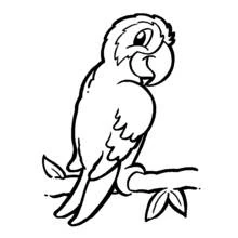 Dibujo de Loro con mechón de plumas sobre rama gruesa para colorear