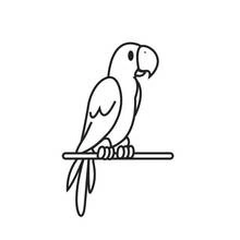 Dibujo de Guacamayo de perfil en fina rama horizontal para colorear