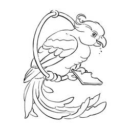 Dibujo de Loro posado en un aro junto a su plato para colorear