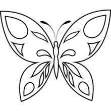 Dibujo de Mariposa con alas simétricas y motivos decorativos para colorear Dibujo de Mariposa con alas simétricas y motivos decorativos para colorear
