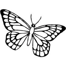 Mariposa - Dibujos para colorear gratis