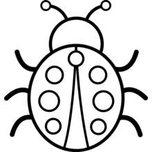Dibujo de Mariquita con puntos redondos en el dorso para colorear