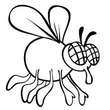 Mosca - Dibujos para colorear gratis