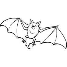 Murciélago - Dibujos para colorear gratis