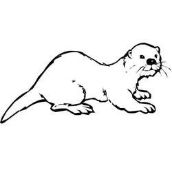 Nutria - Dibujos para colorear gratis
