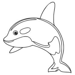 Orca - Dibujos para colorear gratis