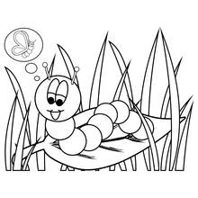 Dibujo de Oruga soñando con convertirse en mariposa para colorear