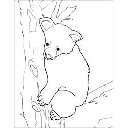 Dibujo de Osito trepando en el árbol para colorear