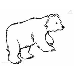 Dibujo de Oso caminando para colorear