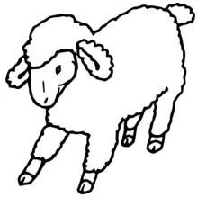 Dibujo de Oveja caminando con lana rizada para colorear