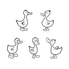 Dibujo de Pato cinco patitos en fila para colorear