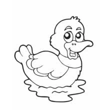 Dibujo de Pato flotando en el agua para colorear