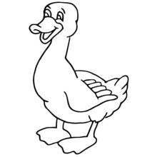 Pato - Dibujos para colorear gratis