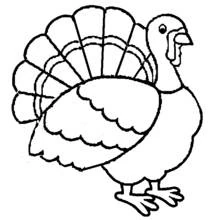 Pavo - Dibujos para colorear gratis
